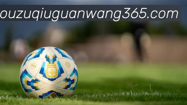 中欧体育发展历程